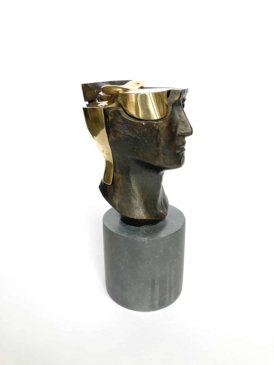 Homo universa-SM